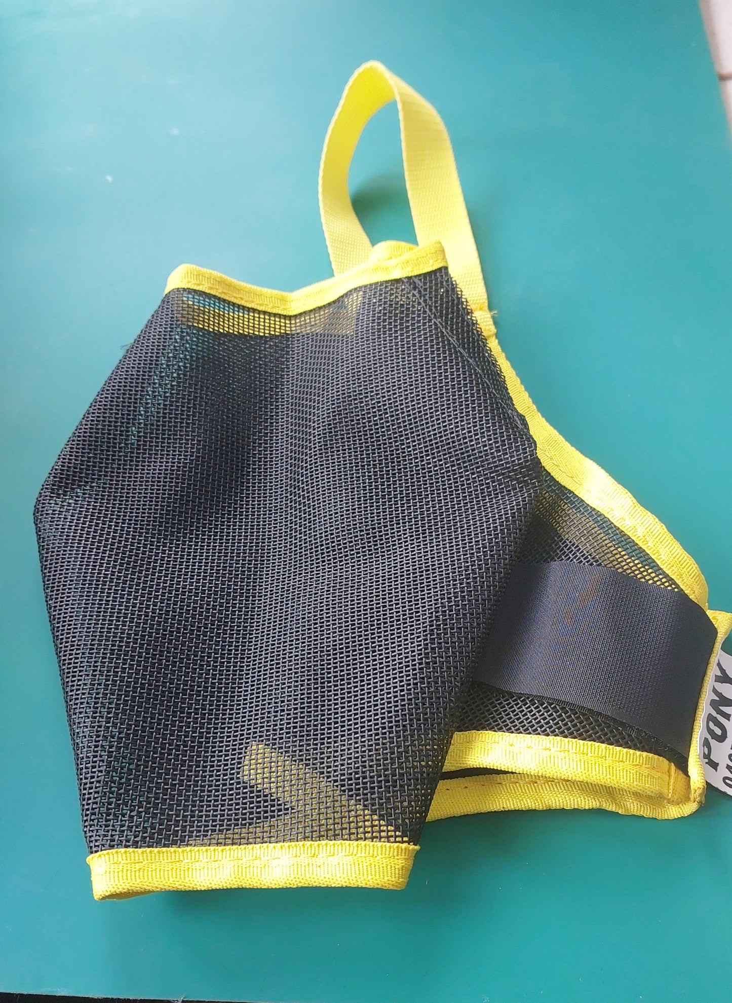 BLACK MESH WITH COLOURED BINDING FLY MASK